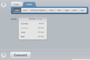 Convert Video Online -Audio Output Options