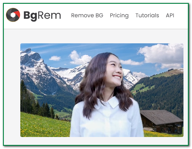 BgRem Video Background removal tool