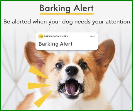 Furbo dog camera with barking alert