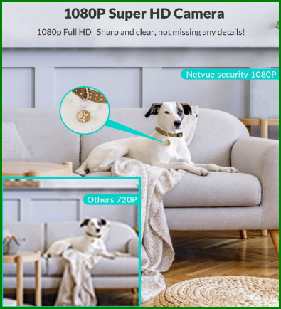 Netvue dog camera without subscription